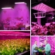 45W LED Grow Light - 2-Band Red/Blue for Indoor Plant Growth