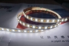 5m Tunable White COB LED Strip Light - COB Series Color-Changing LED Tape Light - 24V - IP20