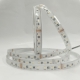 RGBW LED Strip Light - 4-in-1 Chip 5050 Color-Changing LED Tape Light - 12V/24V - IP20 - 5m