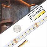 5m Dim to Warm (3000K dims to 1800K) LED Strip Light/Tape Lighting - High CRI - 24V - IP20