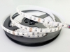 5m RGB High Density LED Strip Light - Color-Changing LED Tape Light - 12V/24V - IP20