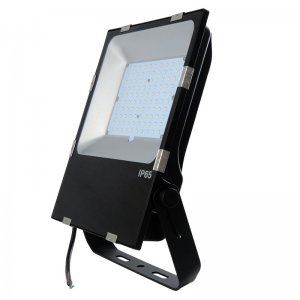 100W LED Flood Light Fixture - 17,000Lm Waterproof CE RoHS SAA Ctick