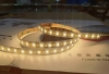 5m Tunable White COB LED Strip Light - COB Series Color-Changing LED Tape Light - 24V - IP20