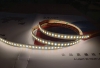 5m Tunable White COB LED Strip Light - COB Series Color-Changing LED Tape Light - 24V - IP20